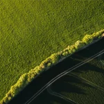 Test Post